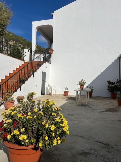Вилла Casa La Fuente Alta Альгодоналес Экстерьер фото